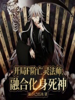 小说《主角是亡灵法师的无限流小说》封面
