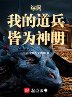 小说《综网:我的道兵,皆为神明》封面