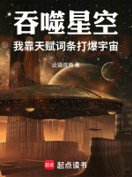 小说《吞噬星空:我靠天赋词条打爆宇宙》封面