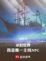 小说《冰封世界技能》封面