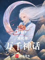 小说《野史是假的吗》封面