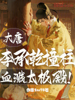 小说《李承乾太子》封面