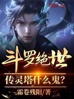 小说《斗罗大陆2绝世唐门手游传灵》封面