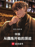 小说《华娱从流量到巨星顶点》封面