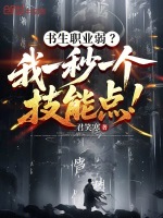 小说《书生sp》封面