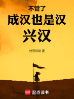 小说《成汉算汉朝吗》封面