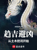 小说《趋吉避凶之法》封面