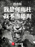 小说《四合院:我何雨水未婚夫,开局把棒梗送监狱》封面