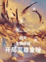 小说《遮天至尊排行》封面