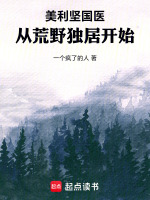 小说《美利坚原乡》封面
