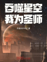 小说《吞噬星空之圣体》封面