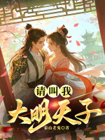小说《请叫我大聪明表情包》封面