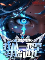小说《夺舍了唐三》封面