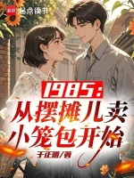 小说《1985:从摆摊儿卖小笼包开始》封面
