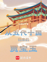 小说《贾宝玉属于第几代》封面