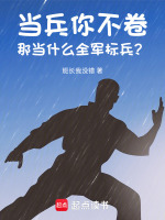 小说《当兵标兵是什么意思?》封面