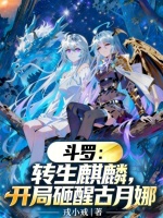 小说《斗罗之开局转生小说》封面