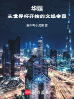 小说《华娱文化集团》封面