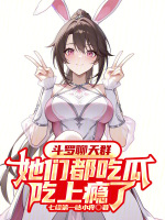 小说《斗罗之聊天系统》封面
