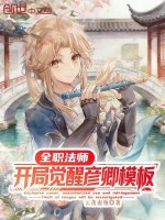 小说《全职法师之开局觉醒混沌》封面