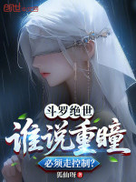 小说《斗罗大陆重瞳小说》封面