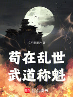 小说《苟且存活于乱世》封面