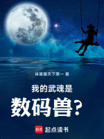 小说《斗罗:我的武魂是数码兽？》封面