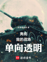 小说《亮剑战场在哪》封面