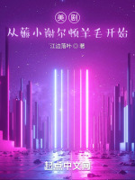 小说《小谢尔顿剧集》封面