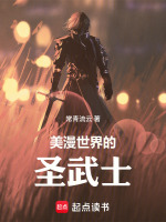 小说《美漫世界的圣武士小说》封面