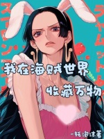 小说《我在海贼世界卖功法免费》封面