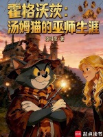 小说《霍格沃茨的猫猫德》封面