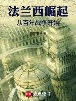 小说《法兰西的兴衰》封面