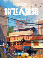 小说《四合院:从神级放映技术开始》封面