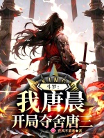 小说《穿越斗罗我是唐晨》封面