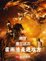 小说《绝世唐门霍雨浩和唐三对打》封面