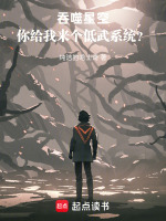 小说《吞噬星空武者》封面