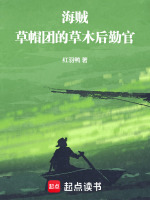 小说《草帽海贼团人员介绍》封面