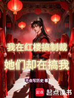 小说《我在红楼搞制裁,她们却在搞我小说》封面