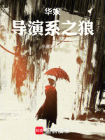 小说《华娱之导演系统》封面