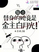 小说《金主替身受》封面