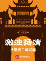 小说《激浊扬清的意思》封面