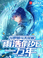 小说《雨浩被围攻》封面