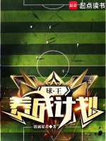 小说《球王养成计划》封面