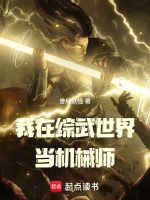 小说《我在综武世界当机械师》封面