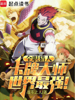小说《全职猎人卡片化限制》封面