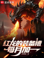 红龙的装备槽每月加一小说封面
