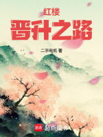 红楼之路人小说封面
