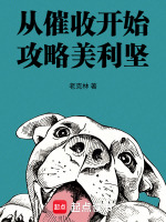 从催收开始攻略美利坚小说封面